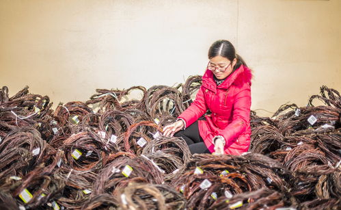 花 是這樣做出來(lái)的